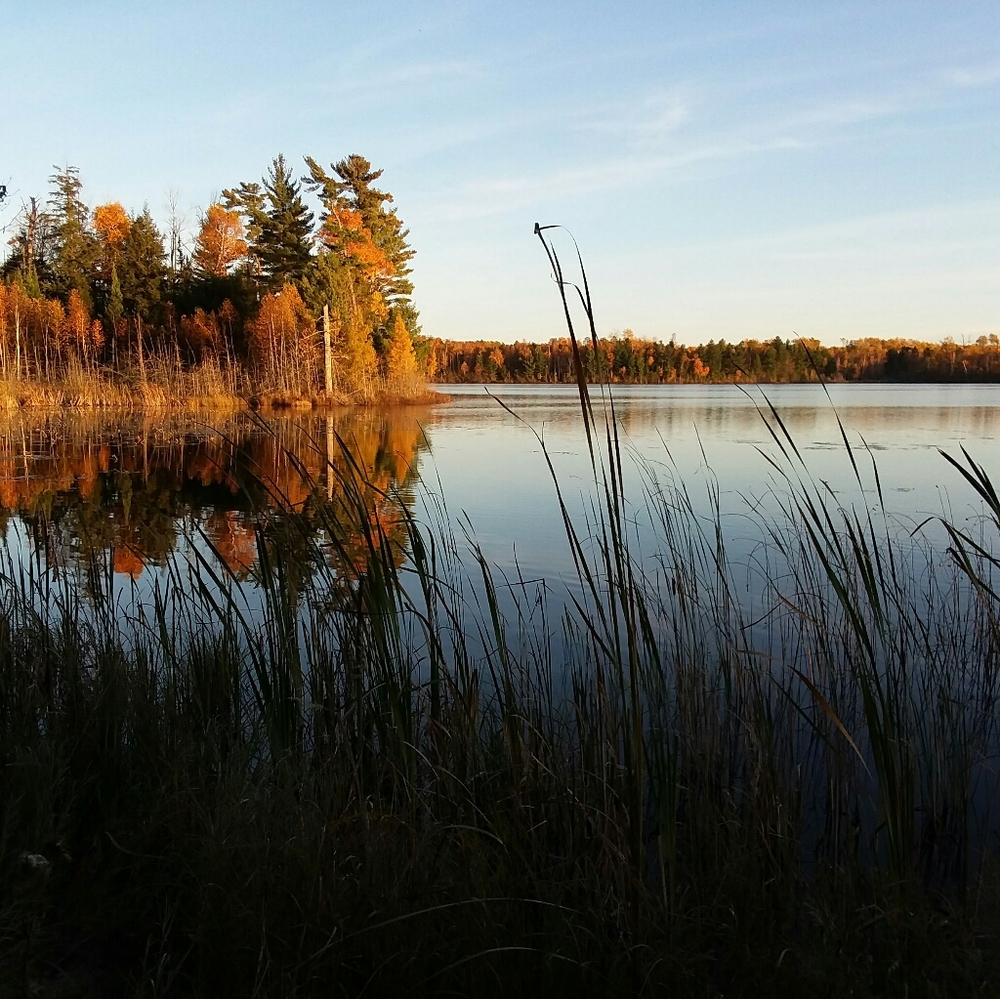 Meet your Posher, Tiana